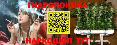 MDMA Новозыбков