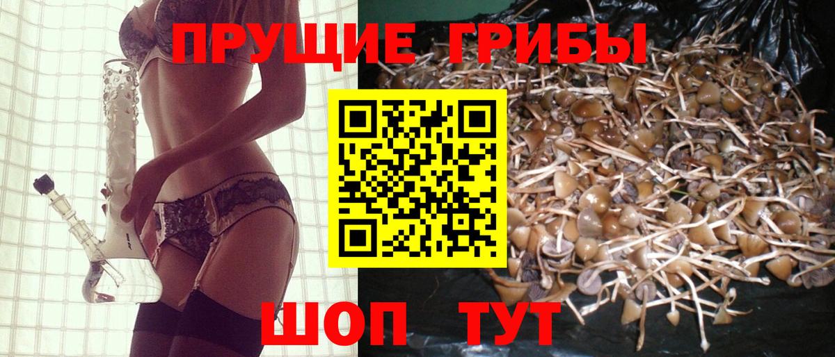 Галлюциногенные грибы Psilocybine cubensis Уварово